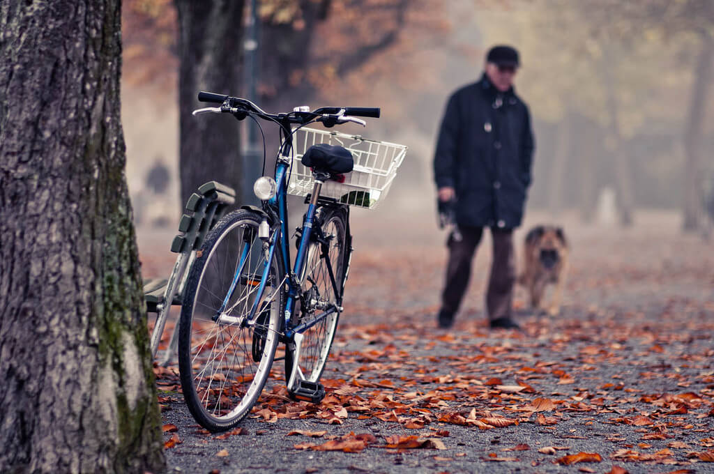 Autumn cycling - Zurich